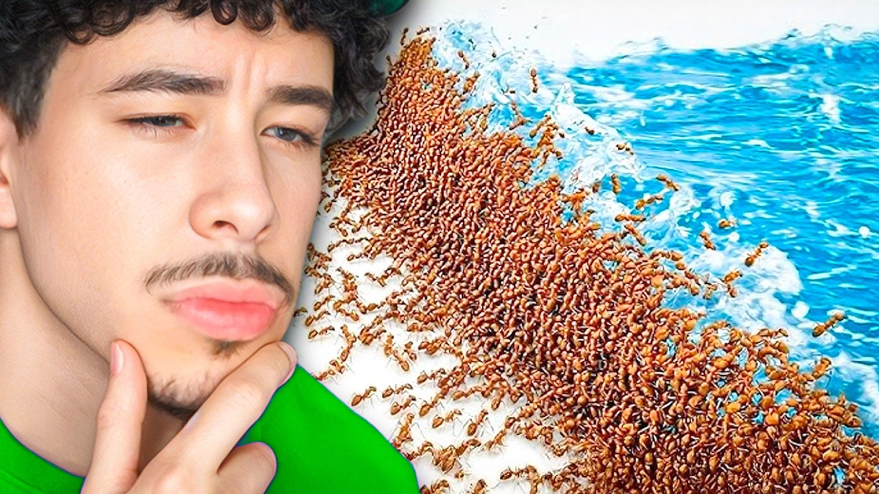 Watching 1,000 Ants Survive 6 Natural Disasters