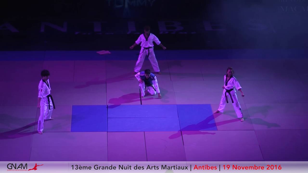 Teaser 13&egrave;me Grande Nuit des Arts Martiaux - Samedi 19 Novembre 2016 AzurArena Antibes