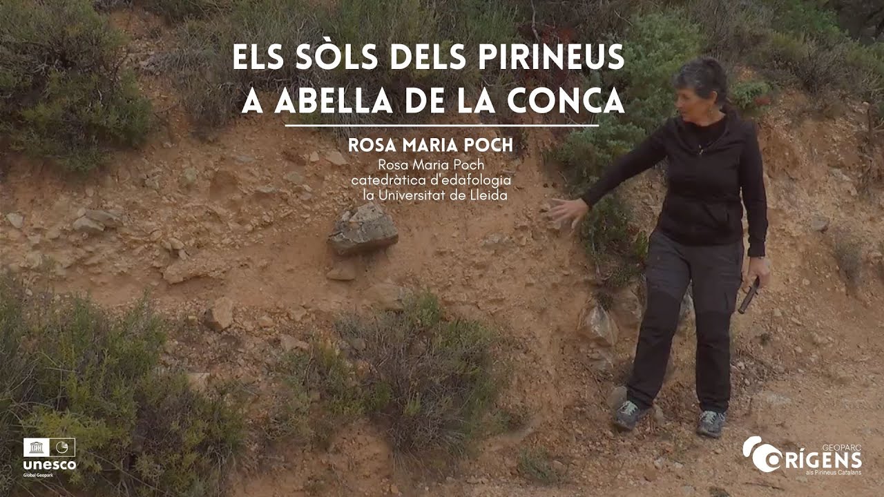 Els sòls dels Pirineus a Abella de la Conca