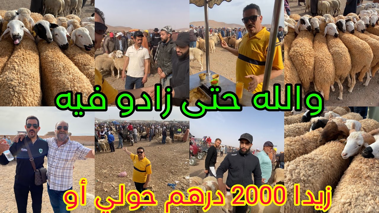 السوق الأسبوعي الأربعاء بني واكيل وجدة سمعنا نقصت الأسعار لا مزال شاعلة على درويش