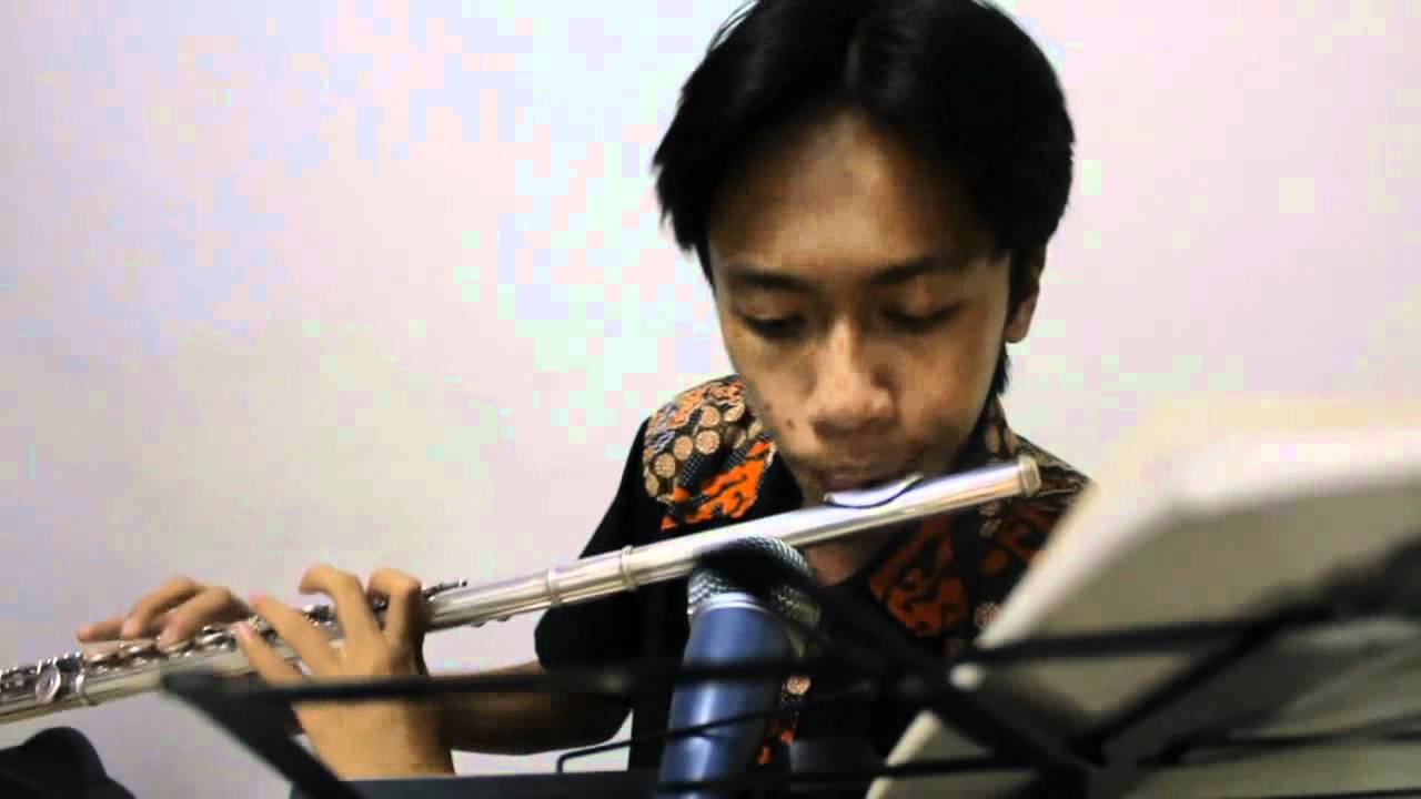 My Way Instrumental (Flute cover).avi