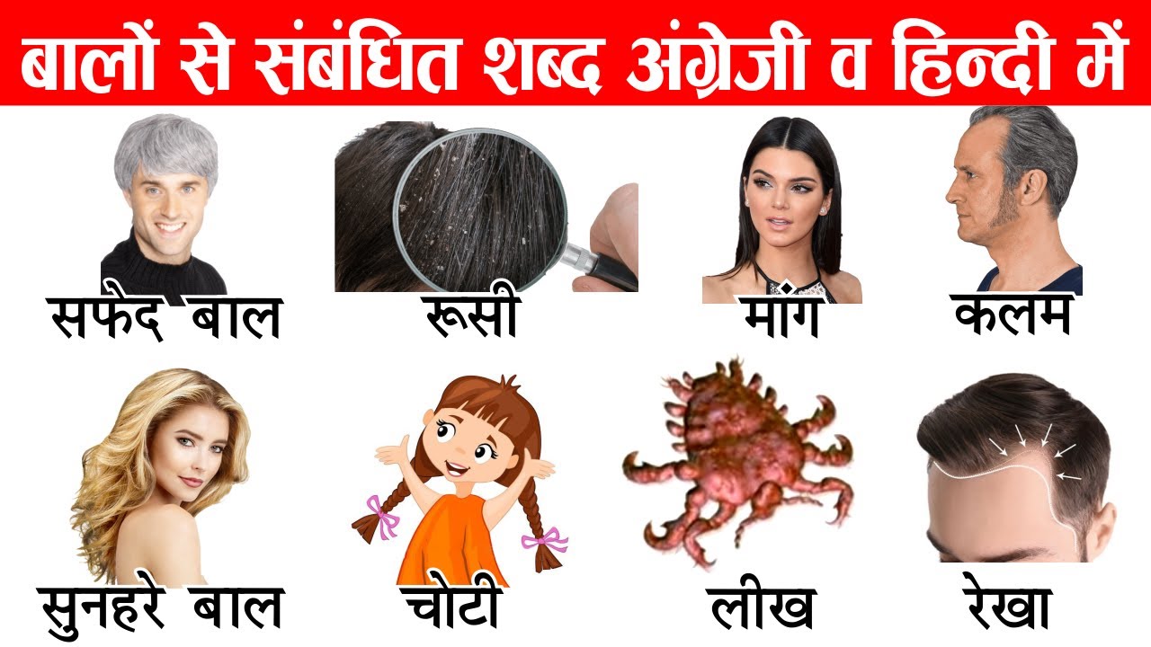 Hair Related Word Meaning With Pictures | Hair Vocabulary | Common English Words