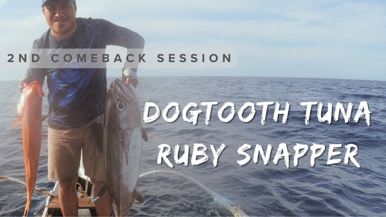 Double Digit Doggie (dogtooth tuna) and a Ruby Snapper