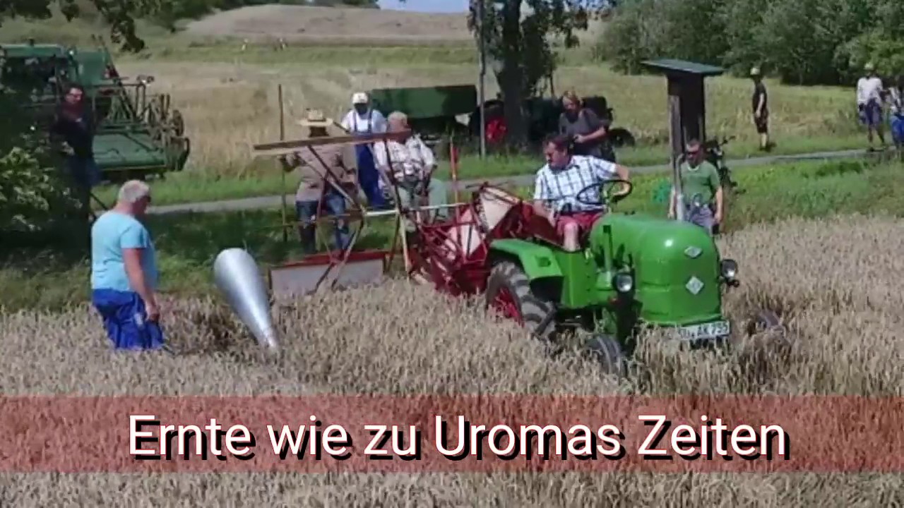 Ernte wie zu Uromas Zeiten