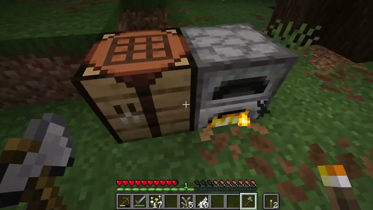 Cozy Minecraft Let’s Play Ep. 1 | Soft Spoken & Relaxing Survival