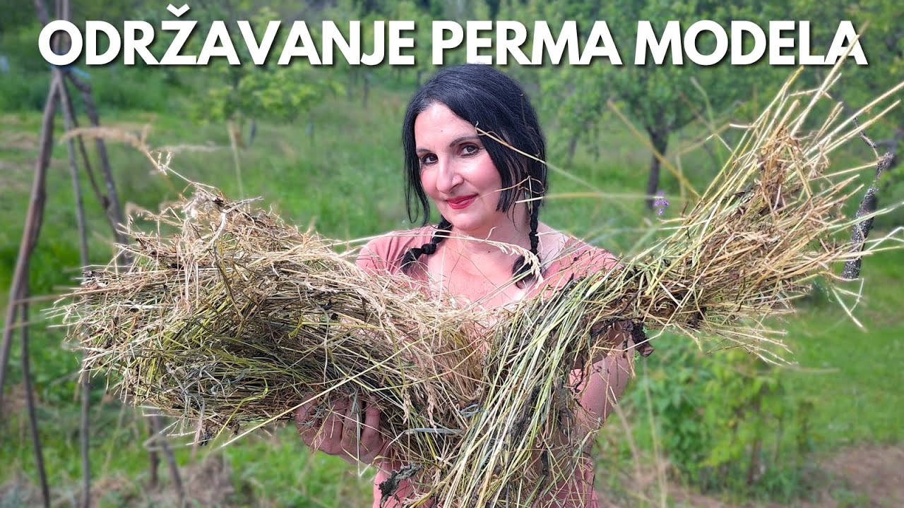 Обслуживание Модели Пермакультуры - Ответы На САМЫЕ ВАЖНЫЕ Вопросы