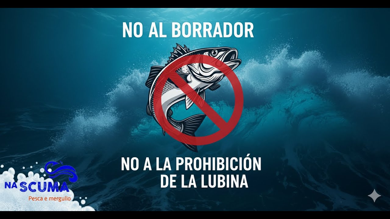 Nuevo borrador de pesca deportiva: ¿Adiós a la lubina? 🚫🐟