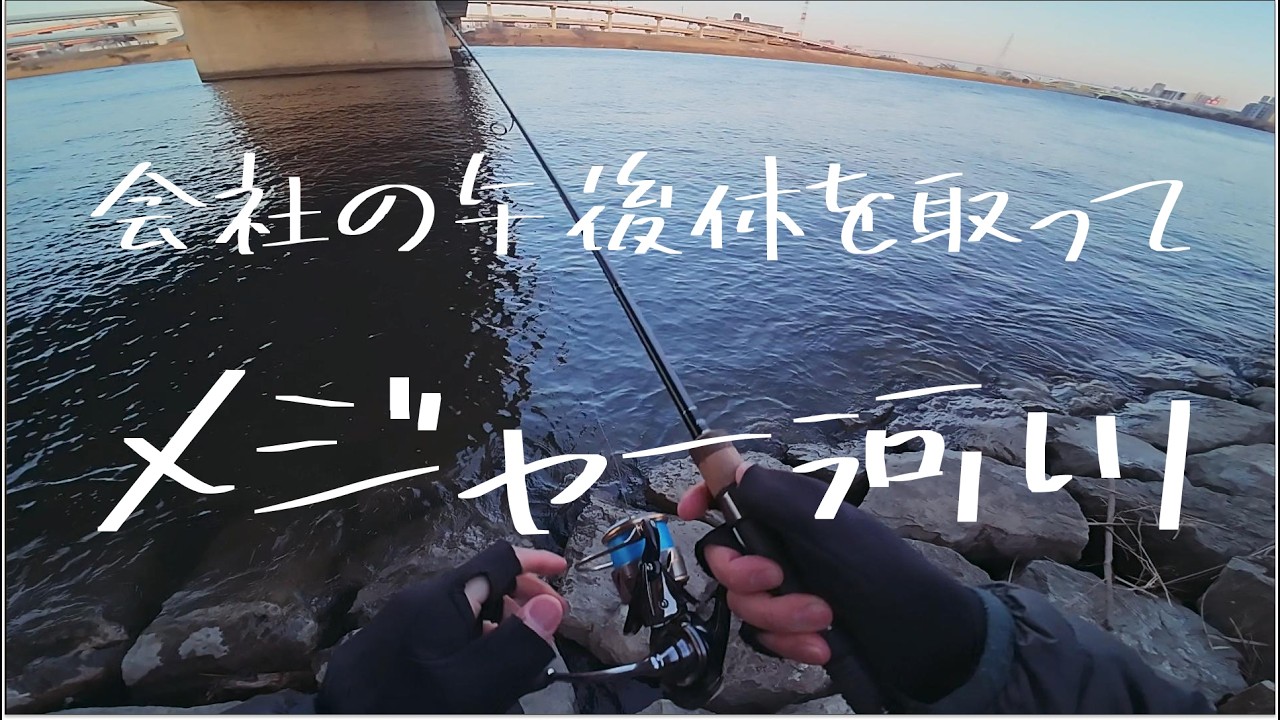 会社の午後休、北風のメジャー河川でシーバスを触れるかな