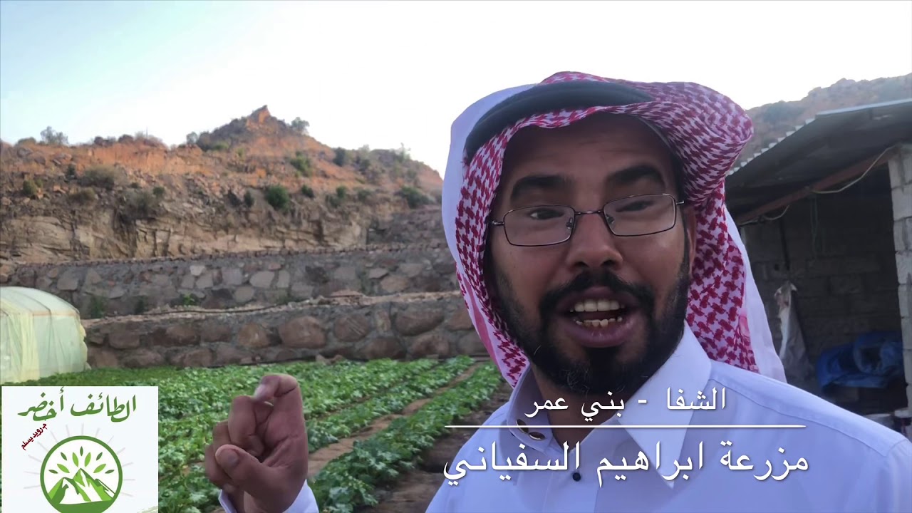 الطائف اخضر💚جهد كبيرمن الأخ ابراهيم السفياني في استصلاح مزرعته بالشفا-بني عمر