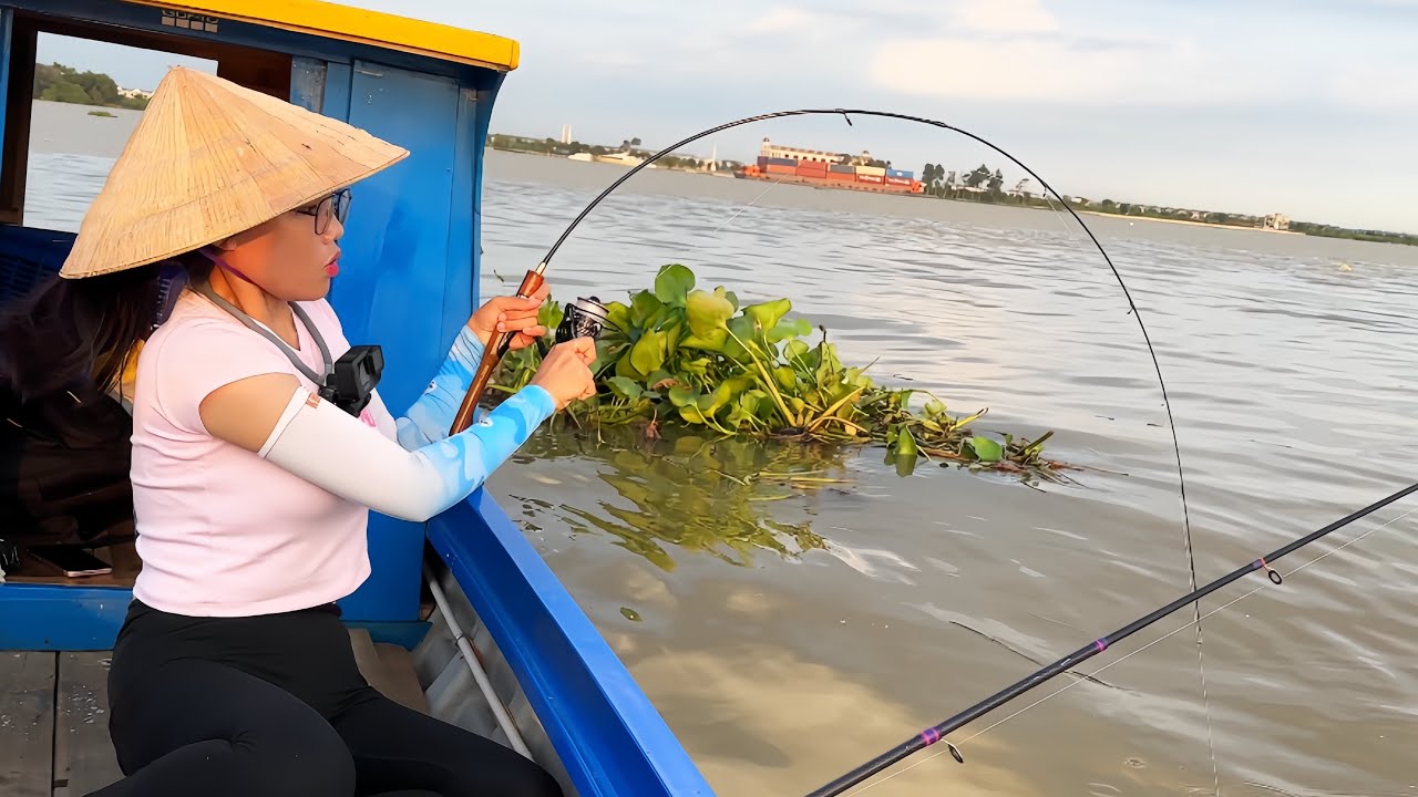 Không Ngờ Đụng Bầy Cá Tra Sông ĐỒNG NAI Kéo Đã Tay | Fishing on Dong Nai River