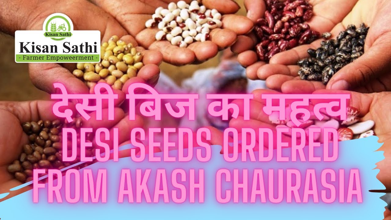 देसी बिज का महत्व|Ordered Indegenous Seeds from Akash Chaurasia #kisansathi #naturalfarming #farming