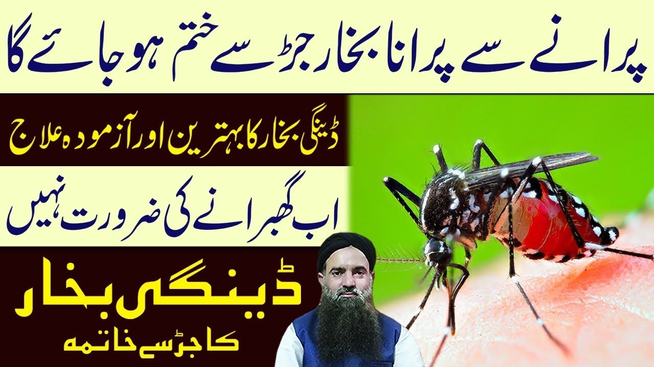Dangi bukhar ka alaj urdu\hindi || Dr Sharafat Ali || Ahsan Cd Center