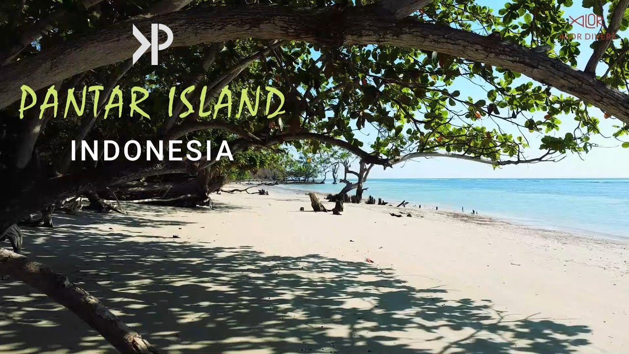 Pantar Island, Alor Archipelago, Indonesia