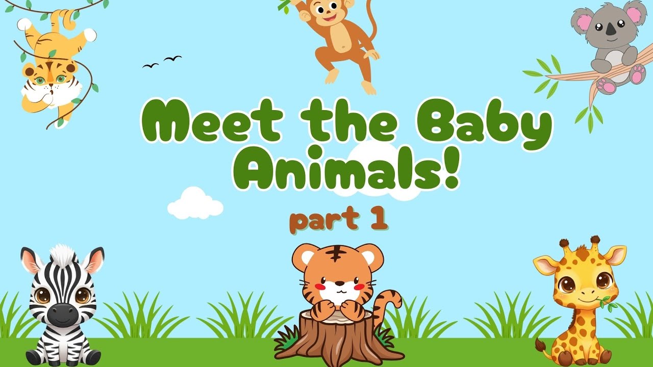 Meet the Baby Animals! 🐶🐱 | Animals and Their Babies | Kids Learning Video