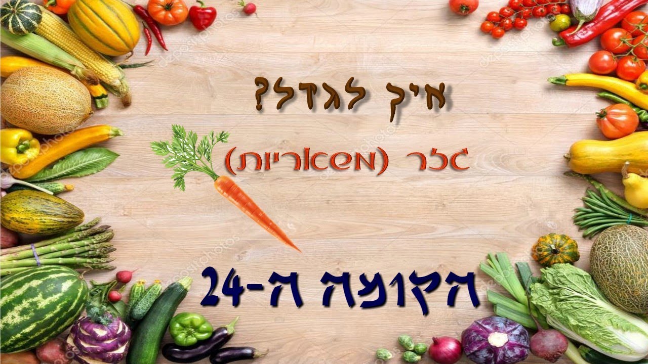 איך לגדל גזר (זרעי גזר) משאריות?