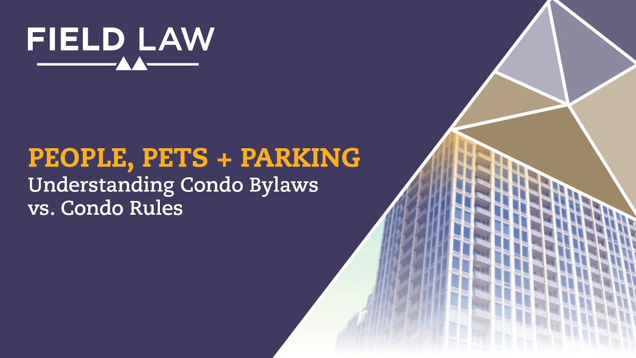 People, Pets + Parking: Understanding Condo Bylaws vs. Condo Rules | Field Law