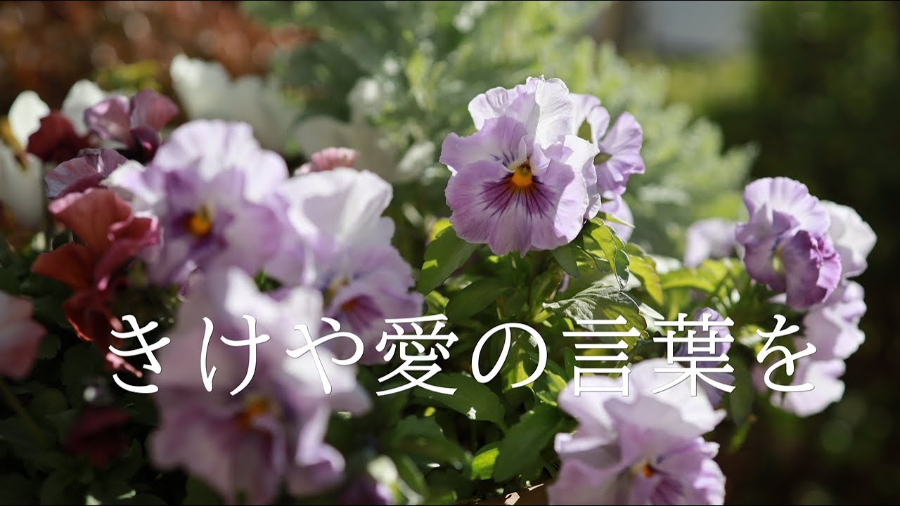 讃美歌1編453「聞けや愛の言葉を」多重録音