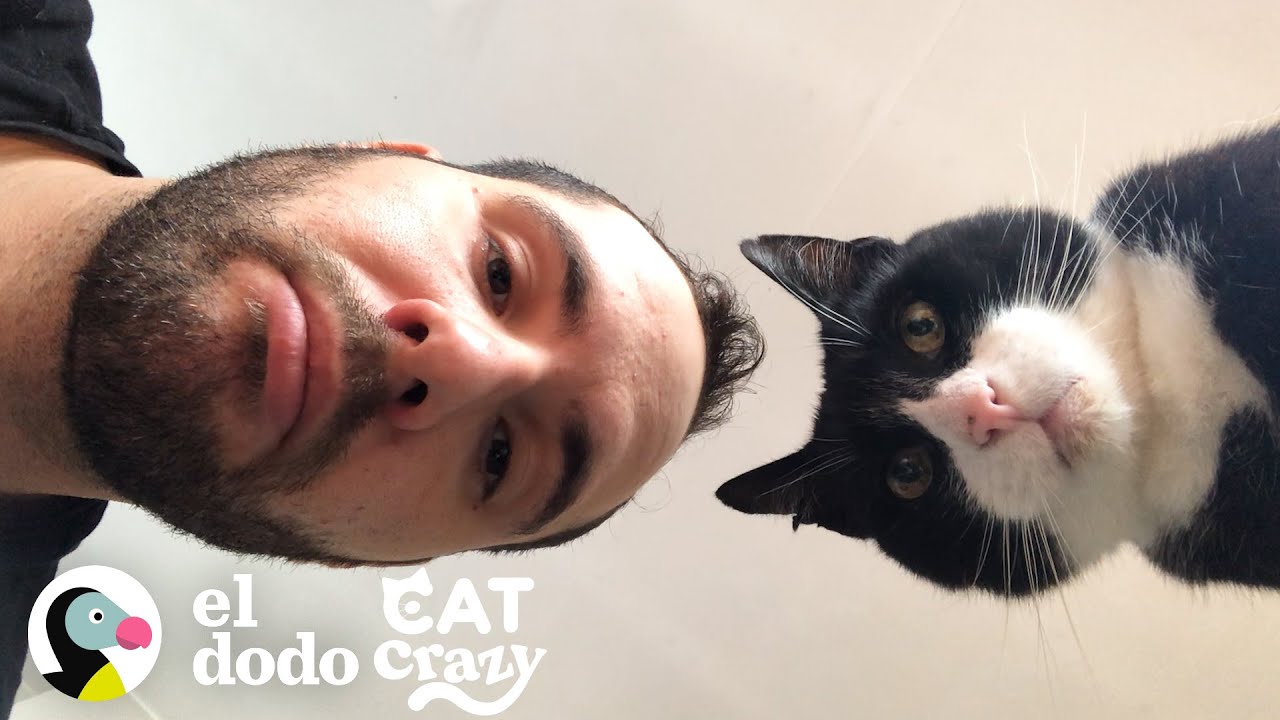 Gato decide vivir en la casa de este hombre y adoptarlo como su papá I Cat Crazy | El Dodo