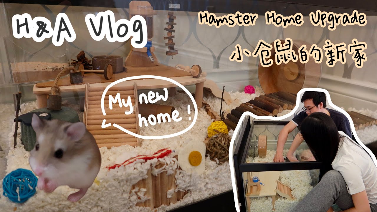 Upgrading Our Hamster’s Cage 🐹 | Hamster Cage Setup and Haul 🛒