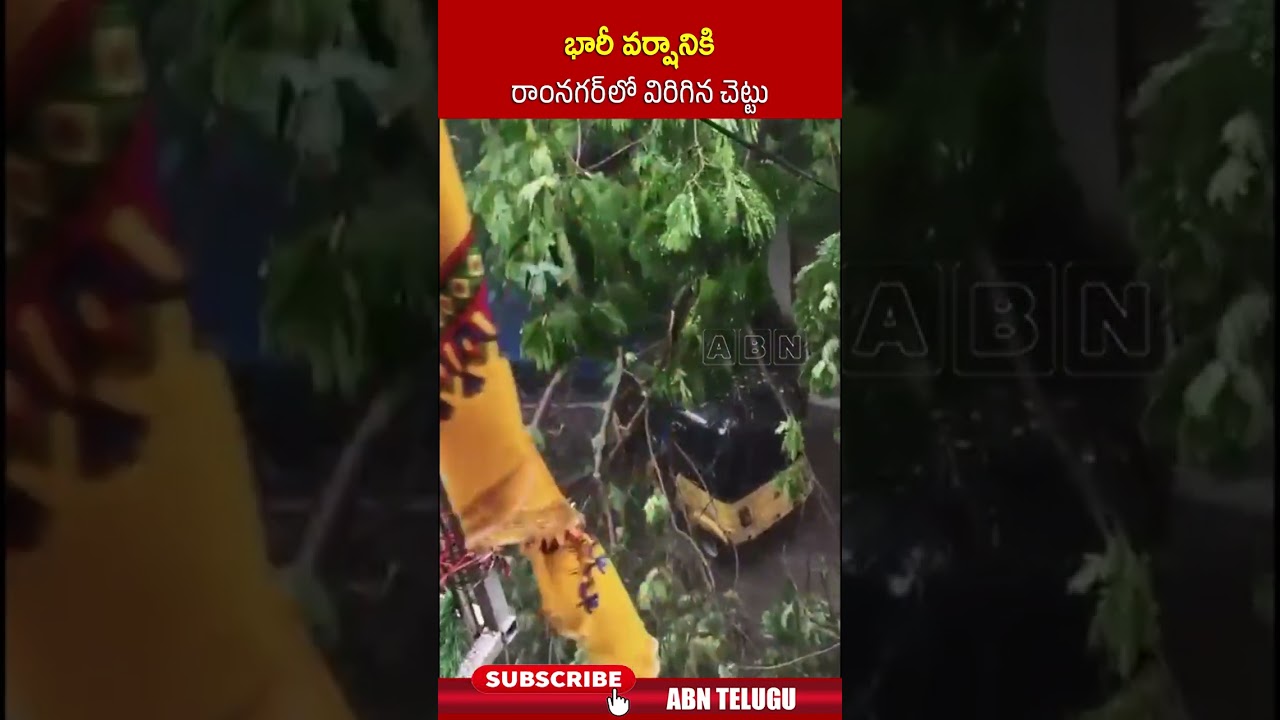 భారీ వర్షానికి రాంనగర్ లో విరిగిన చెట్టు #heavyrain #weatherupdate #rains #shorts #abntelugu