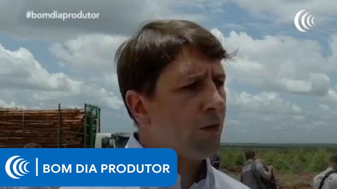 Suzano inicia operação com carreta hexatrem
