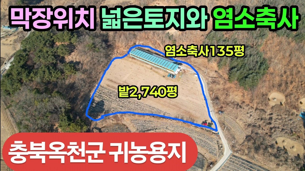 (774번)옥천군 안남면 막장위치 토지2,740평 염소축사135평 매4억2500만 #옥천부동산 #충북옥천토지 #충북염소축사 