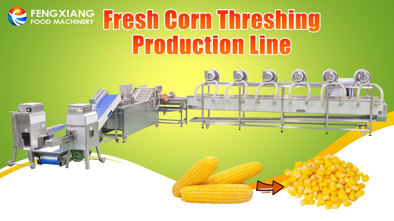 Automatic Sweet Corn Processing Line: Threshing to Drying 🌽#thresher #machinery #dawnagro