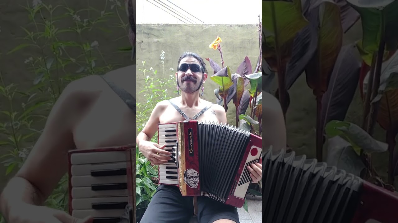 Monkey Island mini Medley - Felipe Arenas #monkeyisland #vgm #accordion