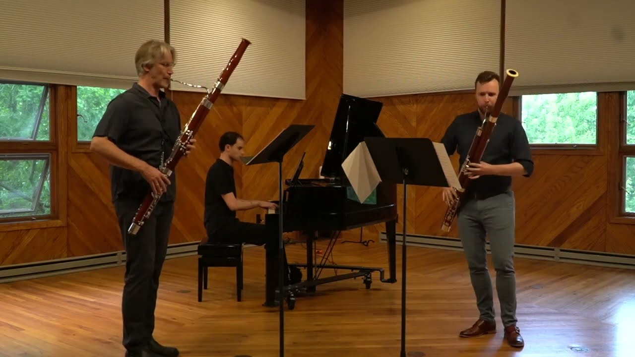 Concerto No. 24 in G Minor for 2 Cellos by Antonio Vivaldi
