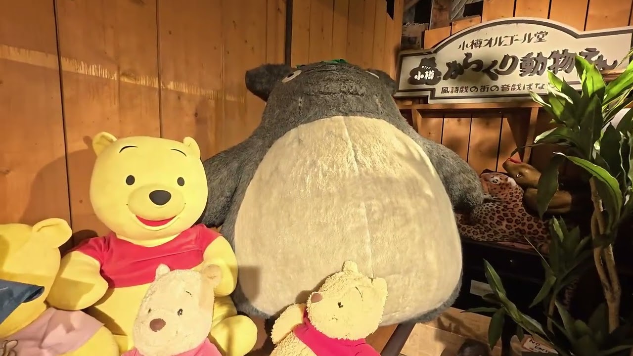 【20260122 Part6】北海道 #小樽 #Otaru Handicraft Street (堺町通商店街) #Otaru Steam Clock #Otaru Music Box Museum