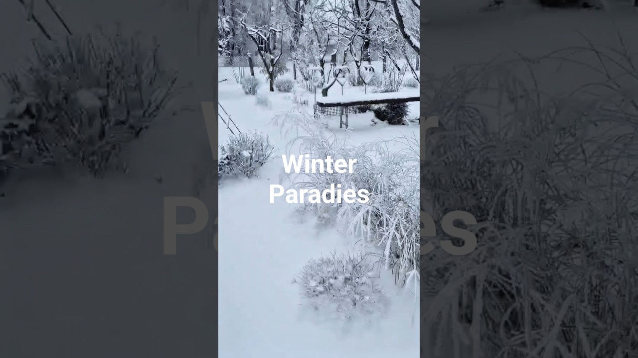 Winter garden Paradies 