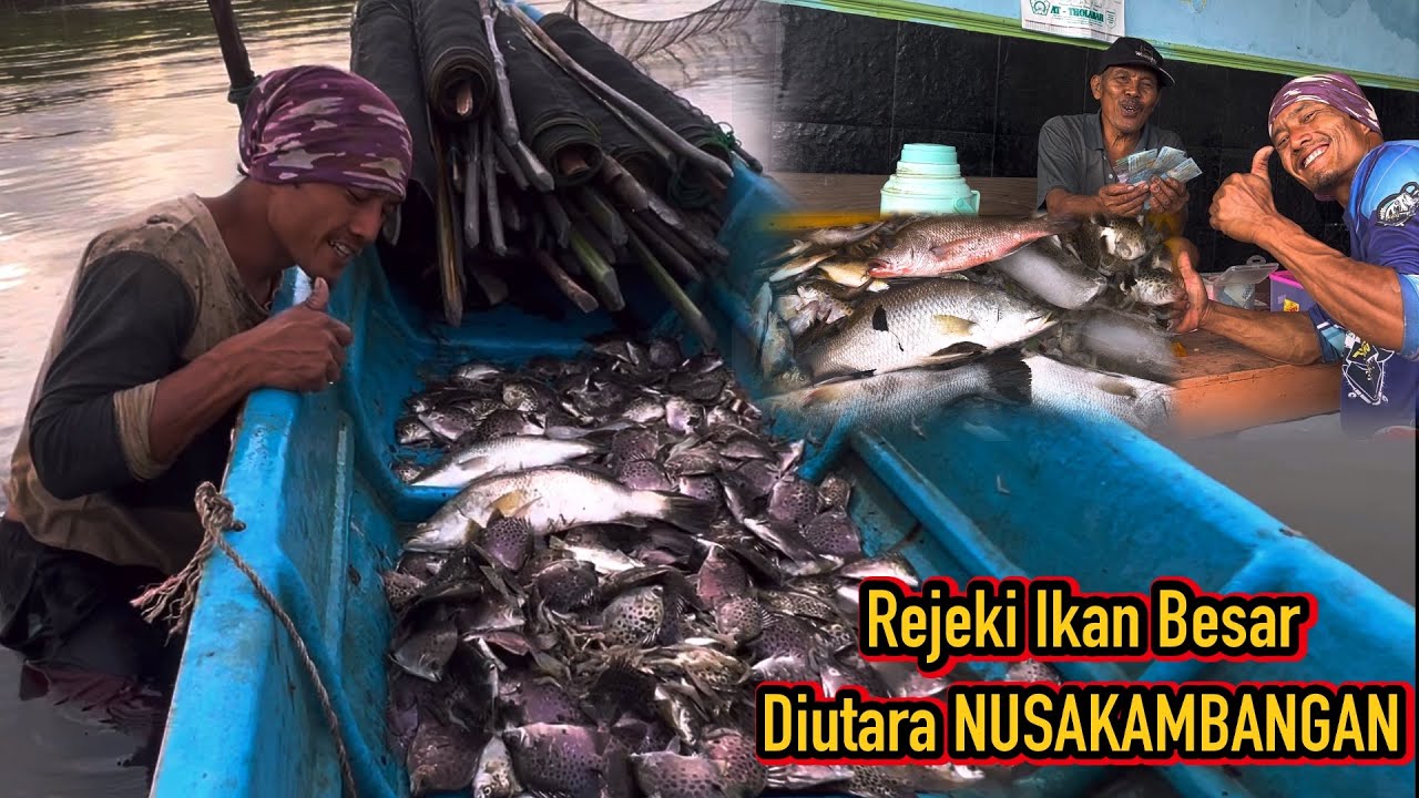 Rejeki Ikan Besar Dan Mahal!! Pasang Perangkap Siang Hari Dapat Banyak Ikan Mahal Langsung Jual