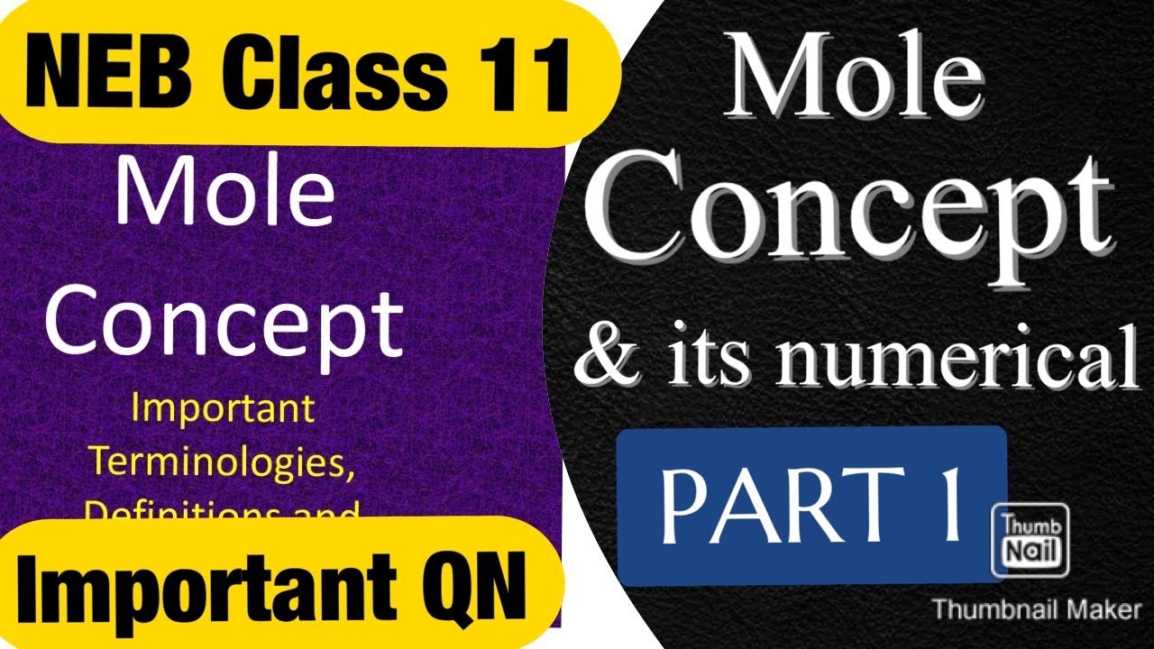 Mole Concept Class 11 Chemistry ||Full Numerical and Explanation in Nepali || Nepali Education YT