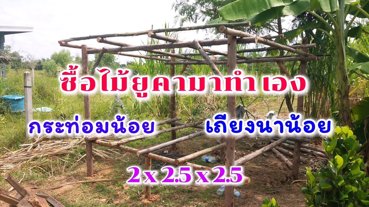 ซื้อไม้ยูคามาทำกระท่อม  ไม่แพงอย่างที่คิด