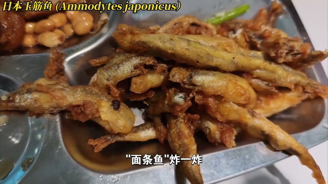 【青岛海钓】春天钓啥鱼？ 黄岛-甘水湾，只钓到了一条鱼憨态可掬的梭鱼，有见过吗 自然奇境科普季 春日盛放 自然给你点颜色看看科普 海钓  科普