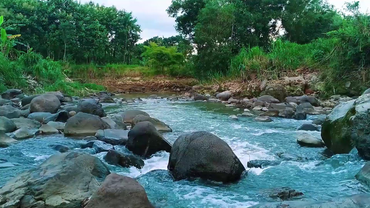 Sleep Instantly at Midnight with River Sounds and Gentle Birds