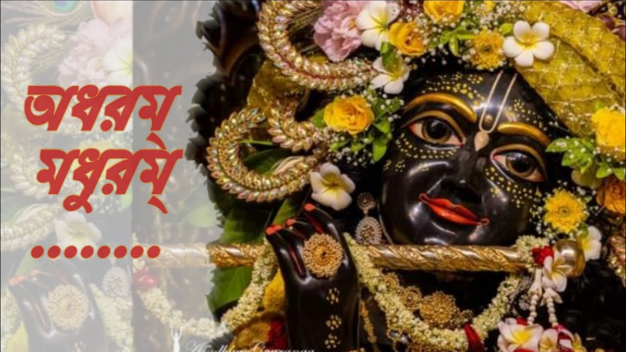 অধরম্ মধুরম্ বদনম্ মধুরম্।। Mayapur Dham Darsana. রাধে রাধে।। Radhe Radhe. #sokhikunja