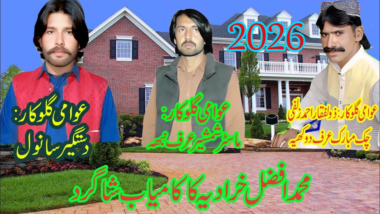 Zabi sound zulfqar zulfi 03016793686