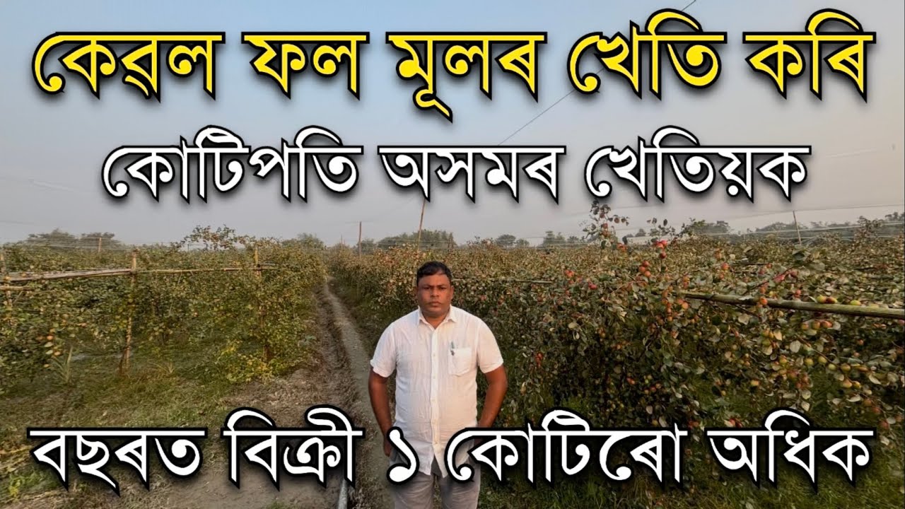 অসমৰ কোটিপতি খেতিয়ক। কেৱল ফলমূল বিক্ৰী কৰে কোটি টকাৰ। Fruit farming in Assam । Farming 