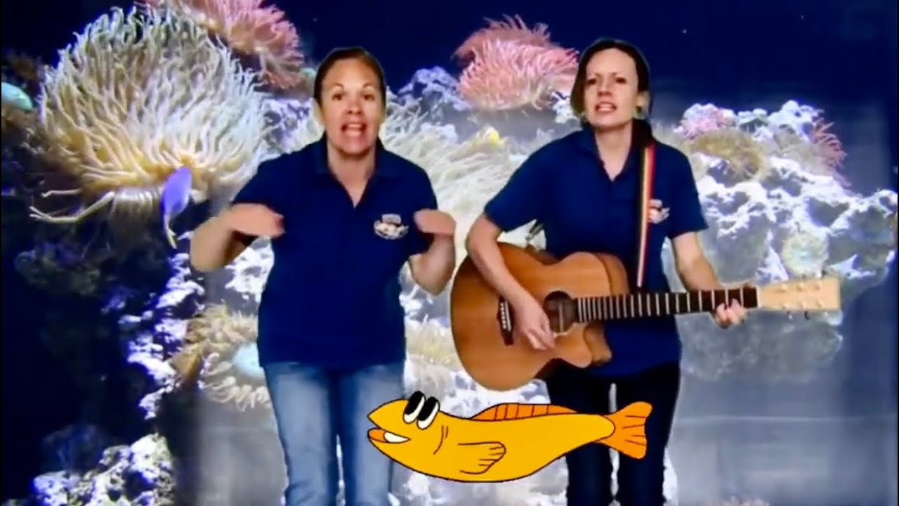 Slippery Fish & Ocean Songs