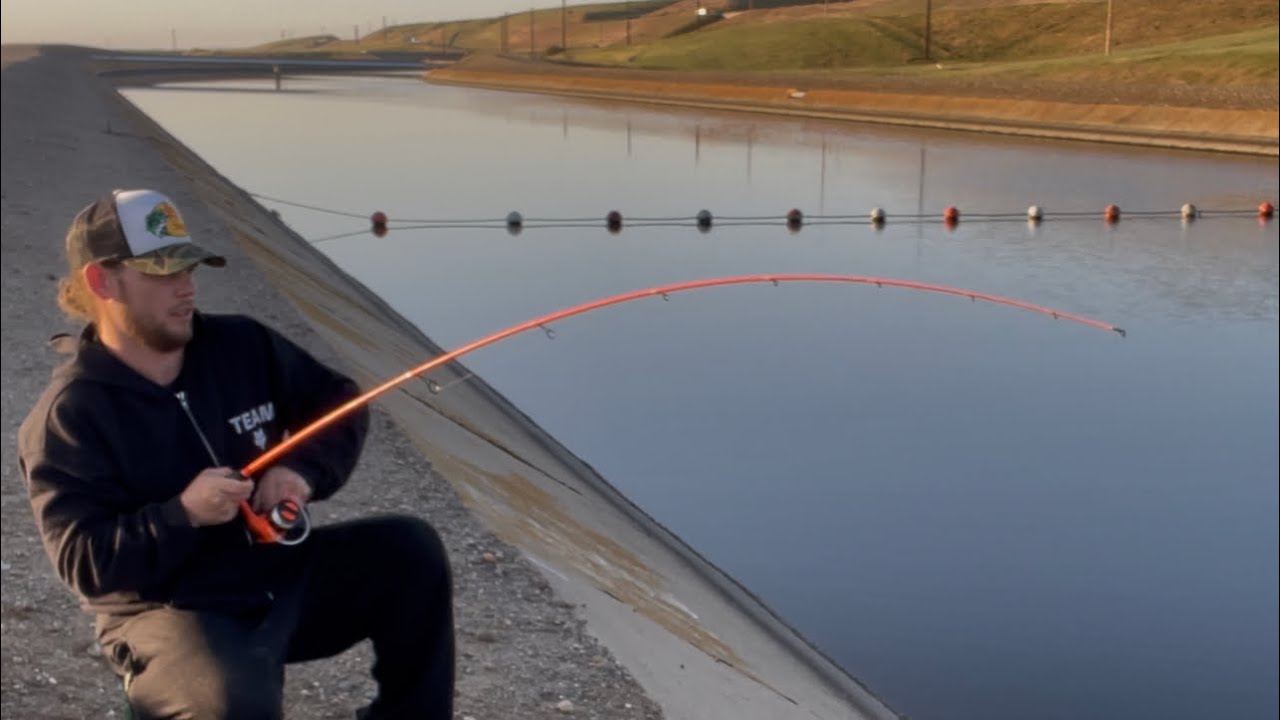 Striper fishing the ca aqueduct with (cheat code)bait 2025