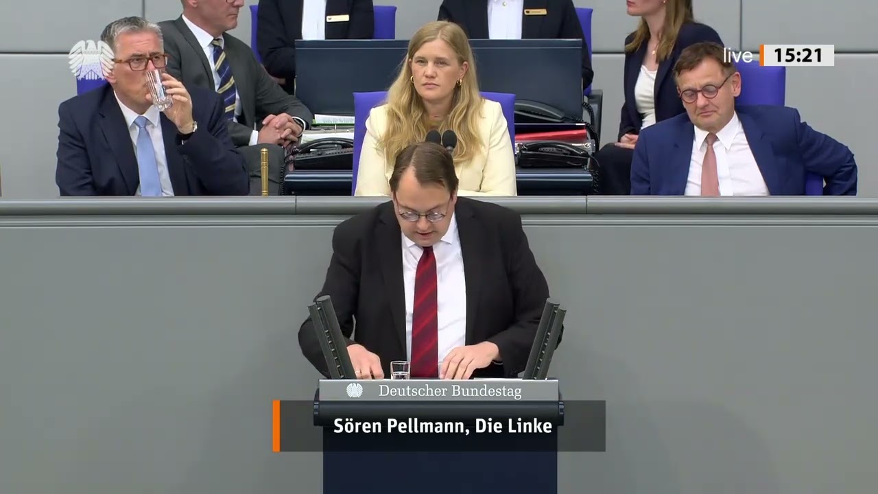 S&ouml;ren Pellmann, Die Linke