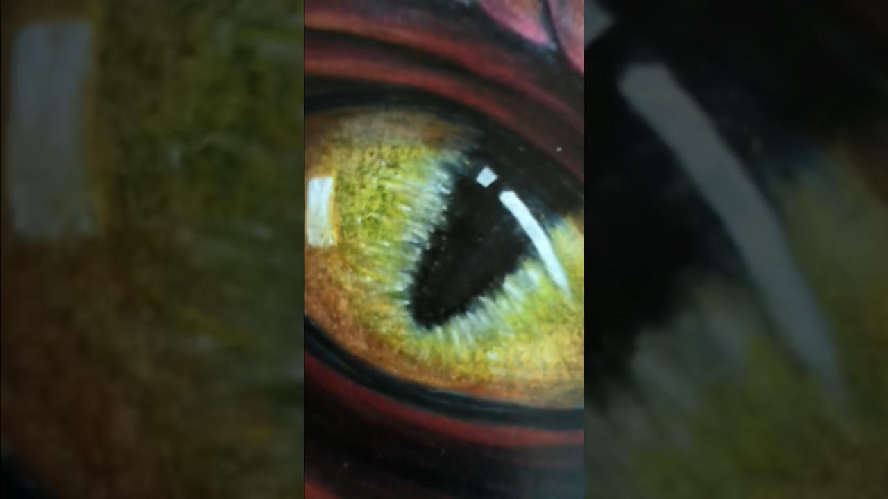 Drawing a Dragon Eye!