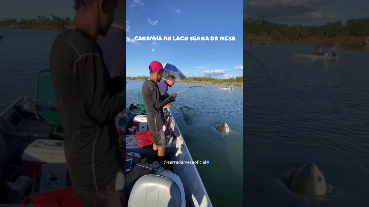 Caranha no Lago Serra da Mesa 😍