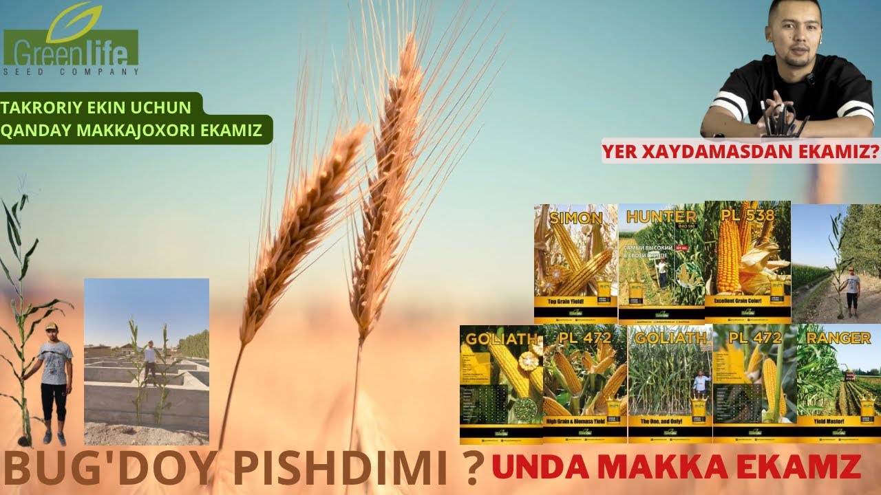 TAKRORIY EKIN UCHUN QANDAY NAV EKAMIZ ? Oddiy yechim biz bilan