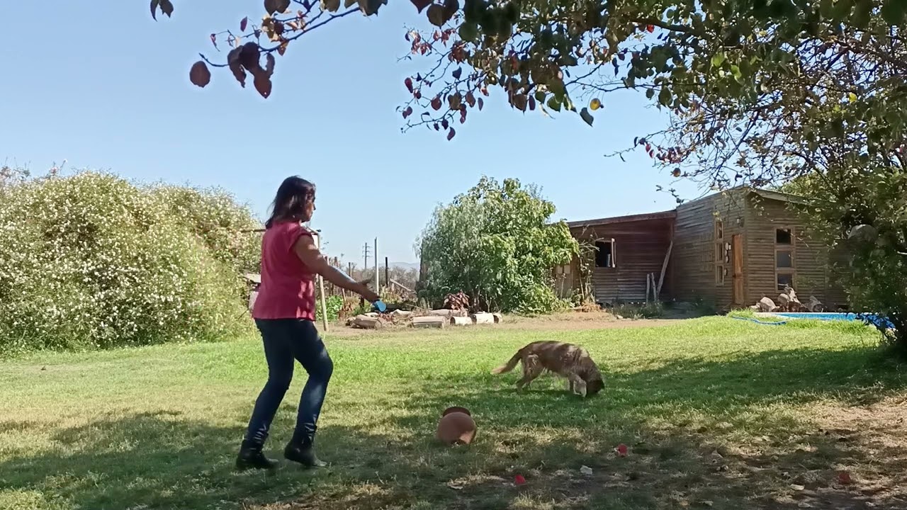 En donde tejemos la ronda, Danza circular
