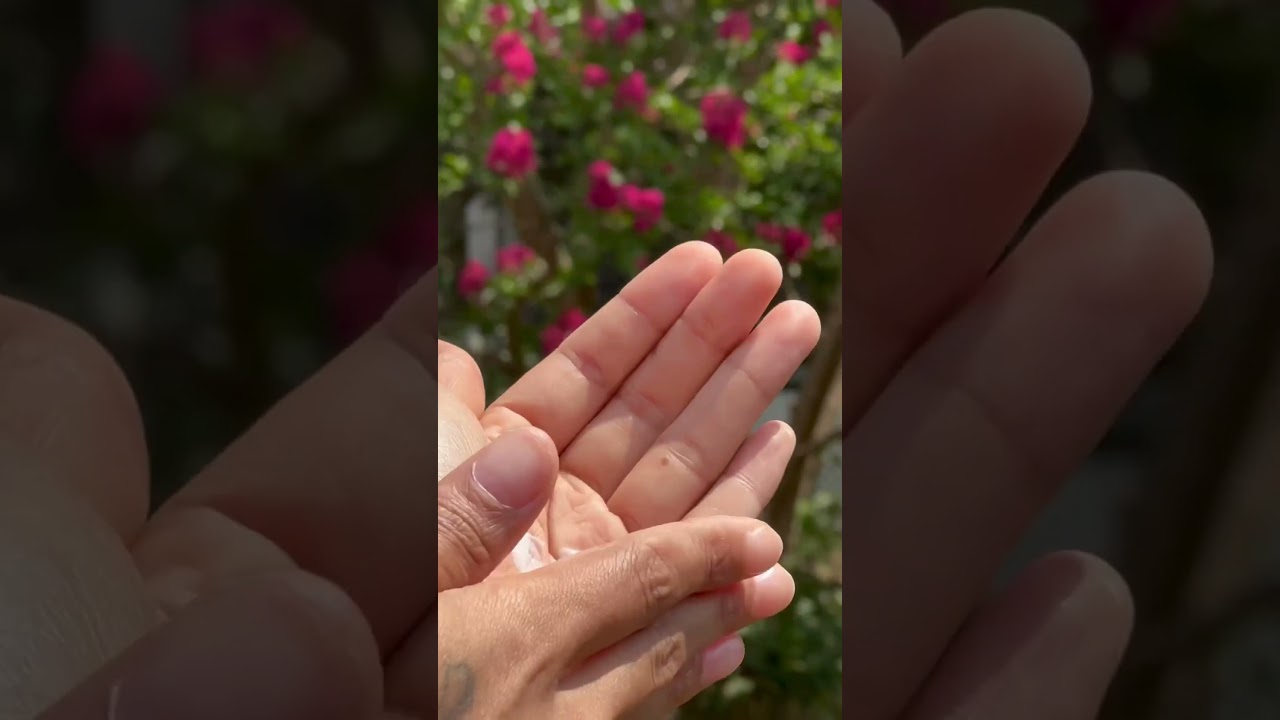 Take a look at Lilly Hill cbg oil and cbd lotion😍 #cbdlotion #cbgoil #shopsmallbusinesses