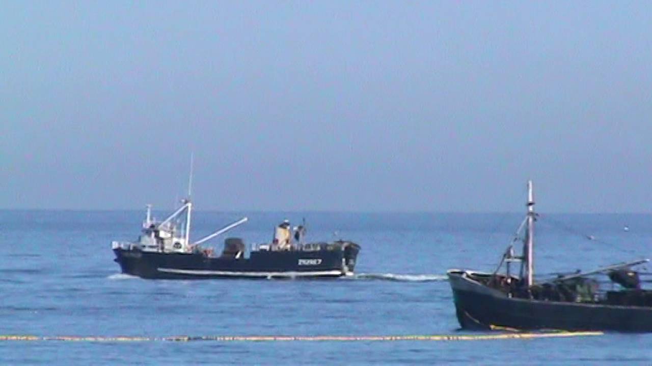 Elandsbaai - Vis trawlers