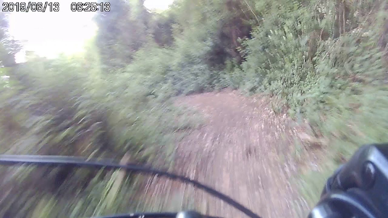 Troi del ceppo MTB