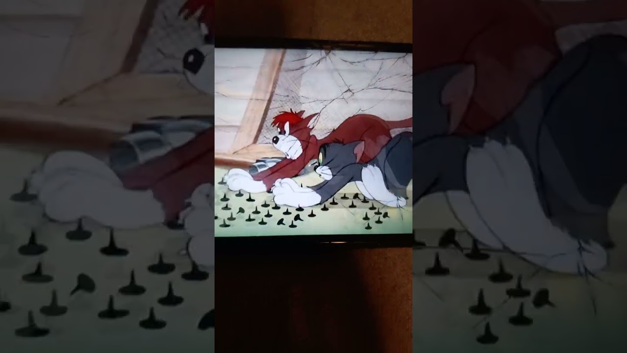 Tom And Jerry Tom And Meathead Cat Stepping On Tacks.